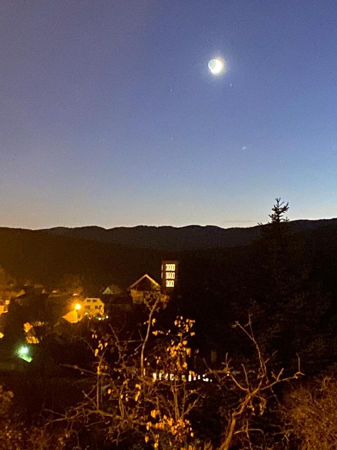 Le Moonloft Insolite Tiny-House Dans Les Arbres & 1 Seance De Sauna Pour 2 Avec Vue Panoramique Osenbach Buitenkant foto