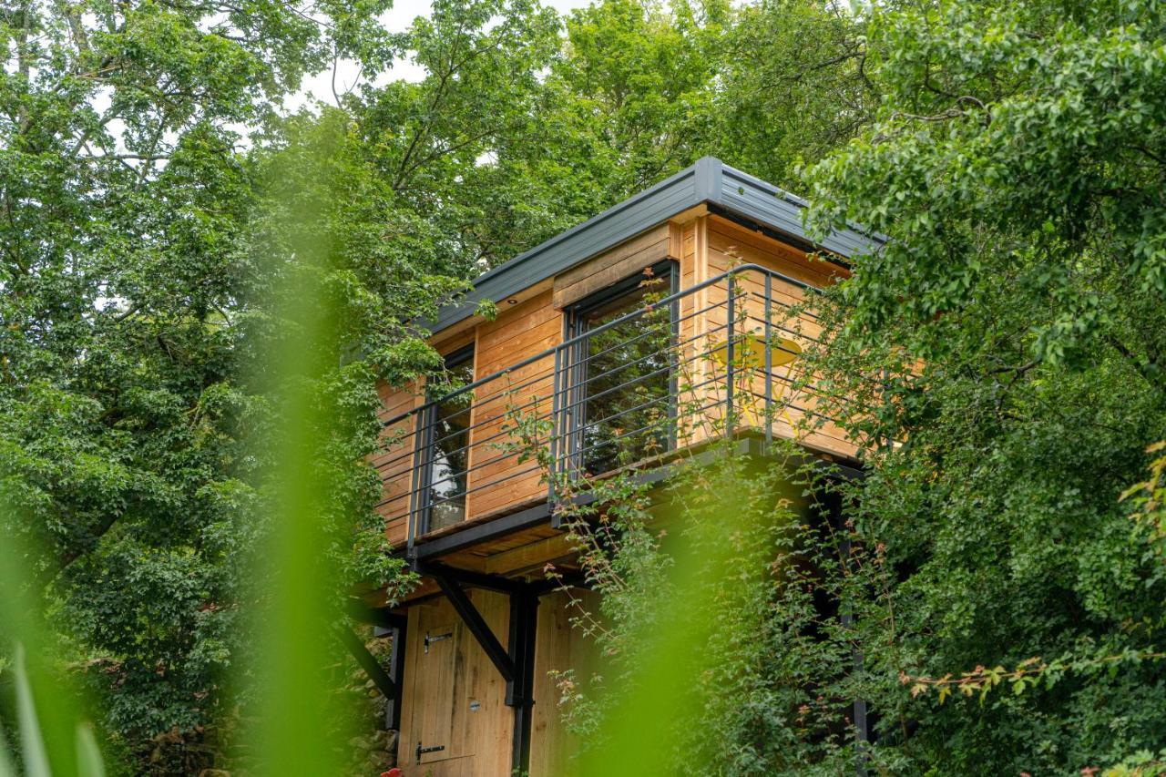 Le Moonloft Insolite Tiny-House Dans Les Arbres & 1 Seance De Sauna Pour 2 Avec Vue Panoramique Osenbach Buitenkant foto