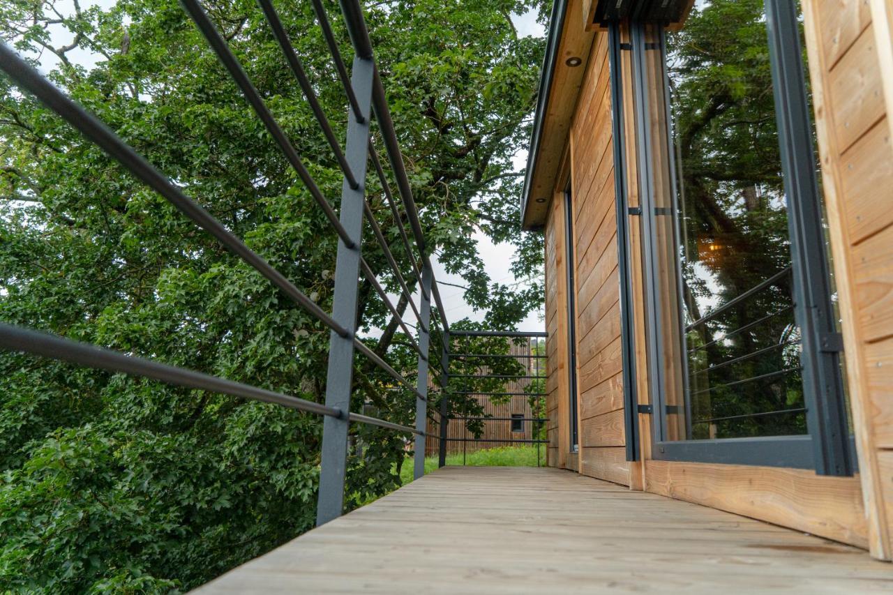 Le Moonloft Insolite Tiny-House Dans Les Arbres & 1 Seance De Sauna Pour 2 Avec Vue Panoramique Osenbach Buitenkant foto