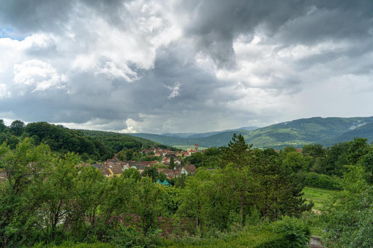 Le Moonloft Insolite Tiny-House Dans Les Arbres & 1 Seance De Sauna Pour 2 Avec Vue Panoramique Osenbach Buitenkant foto