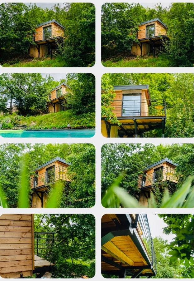 Le Moonloft Insolite Tiny-House Dans Les Arbres & 1 Seance De Sauna Pour 2 Avec Vue Panoramique Osenbach Buitenkant foto